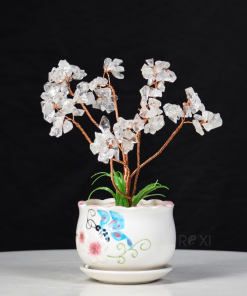 Cây Đá Thạch Anh Trắng